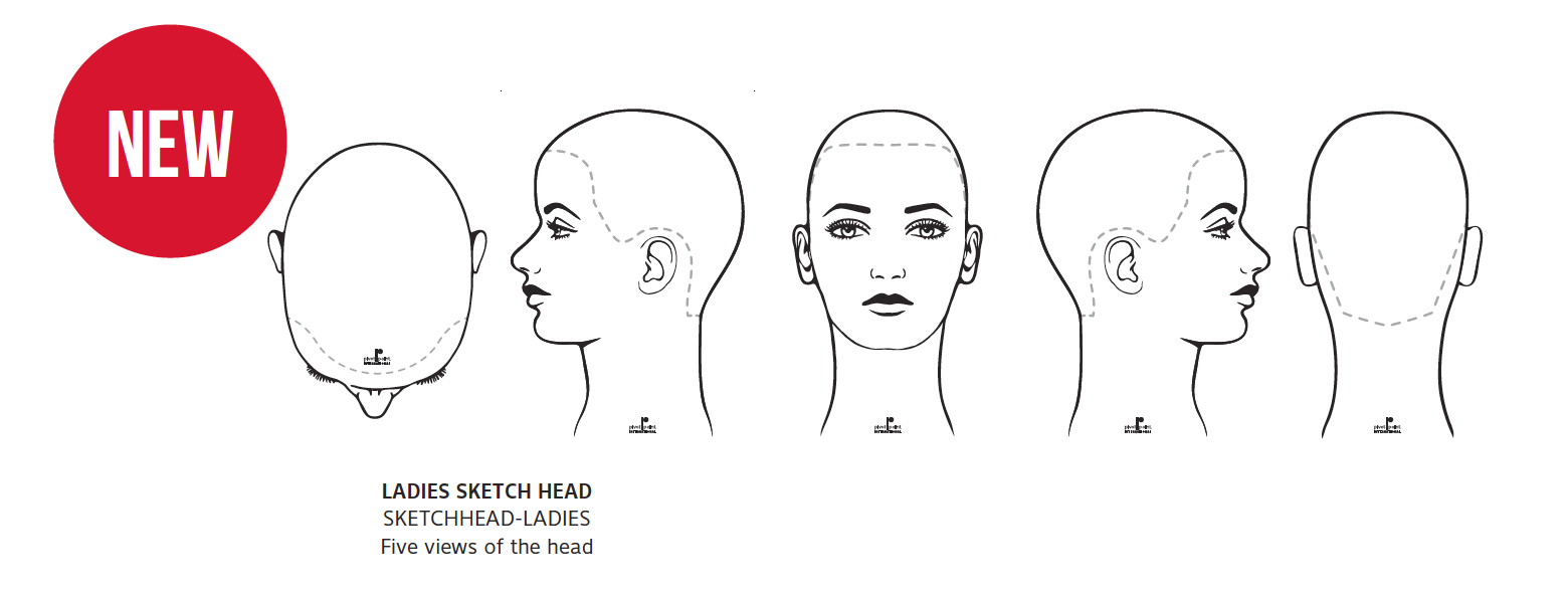 Форма затылка. Схема головы для парикмахеров. Макет головы для стрижки. Форма головы для парикмахеров. Шаблоны головы для парикмахеров.